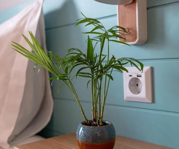 Lägenhet Trendy Formosa *