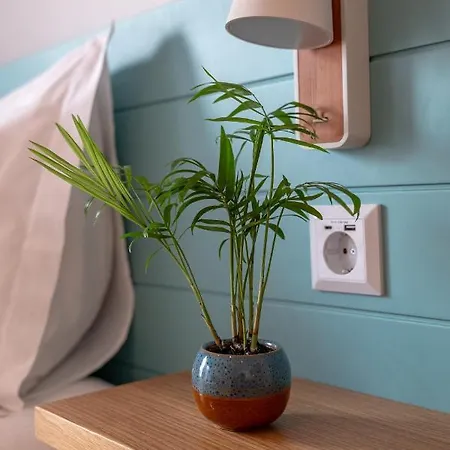 Apartamento Trendy Formosa *