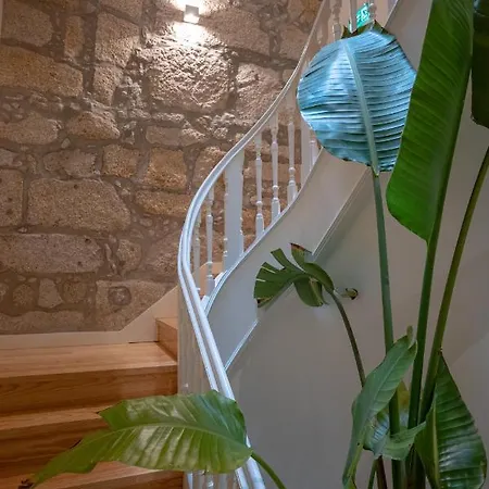 Apartment Trendy Formosa